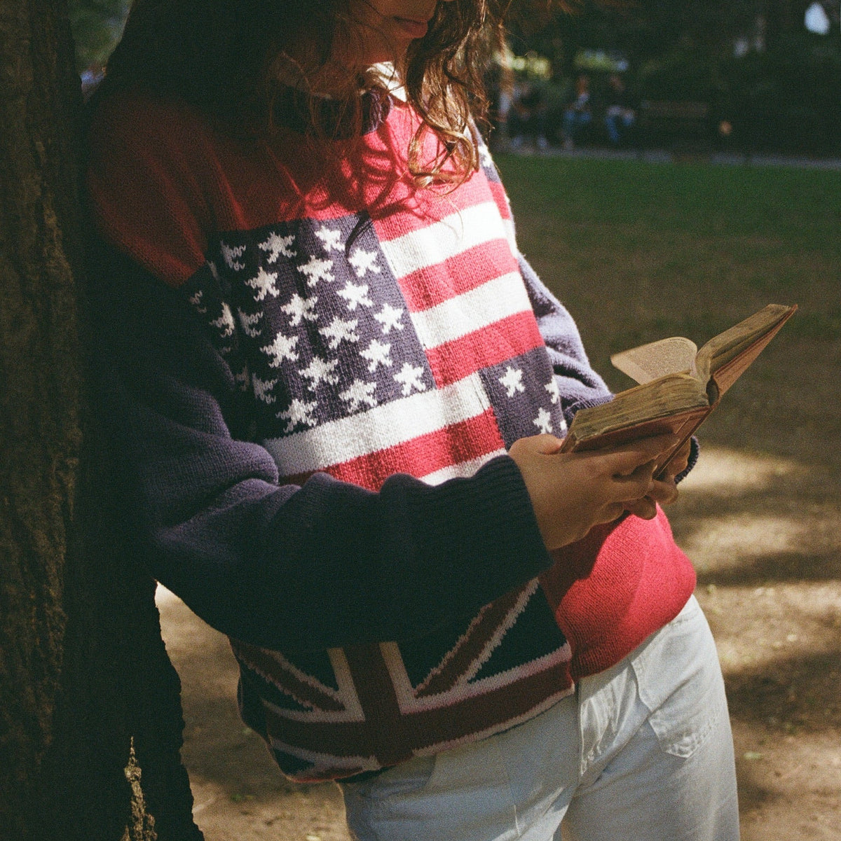 The Union Isles & States Knit